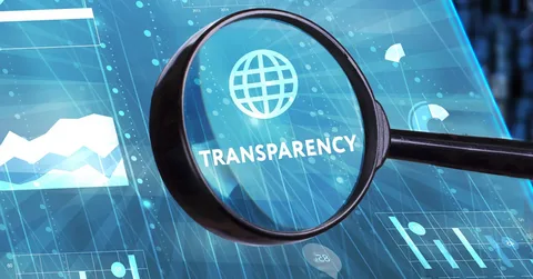 Digital Transparency Strengthens Public Accountability