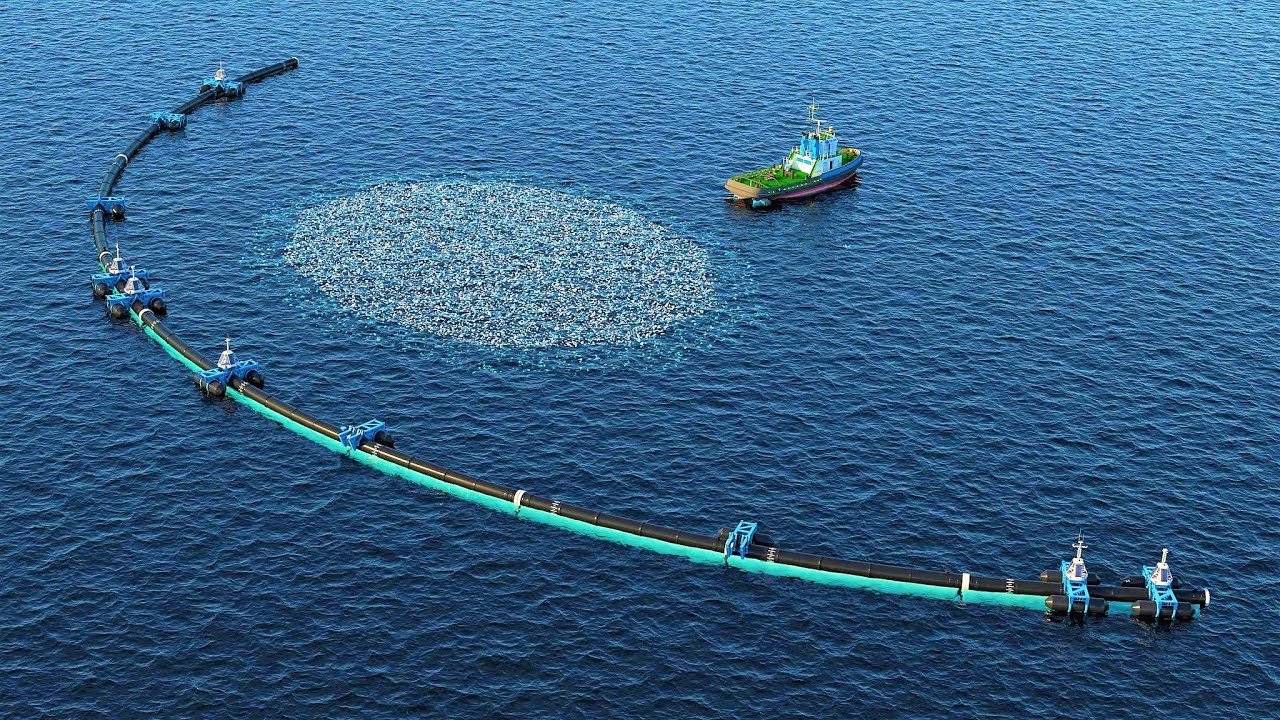Ocean Conservation Projects Gain Global Support